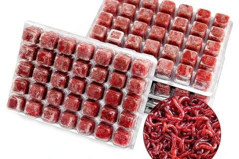 Frozen Food