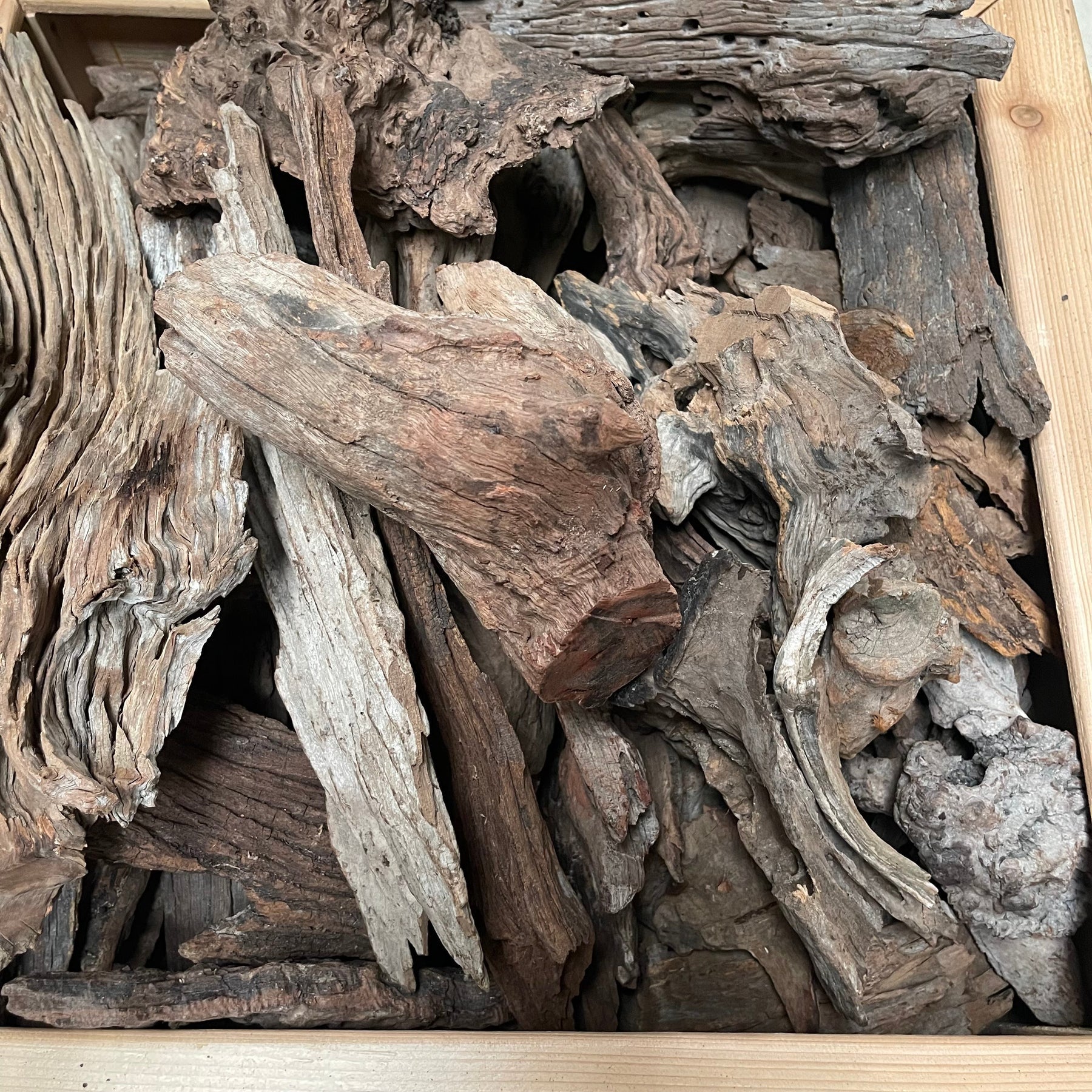 Driftwood