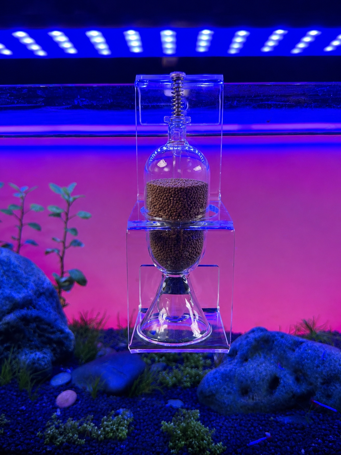 Glass Fish Feeder