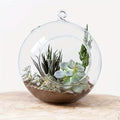 Small Terrarium glass hanger