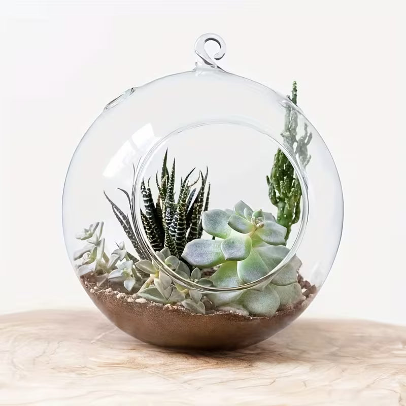 Small Terrarium glass hanger