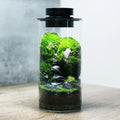 Light Terrarium