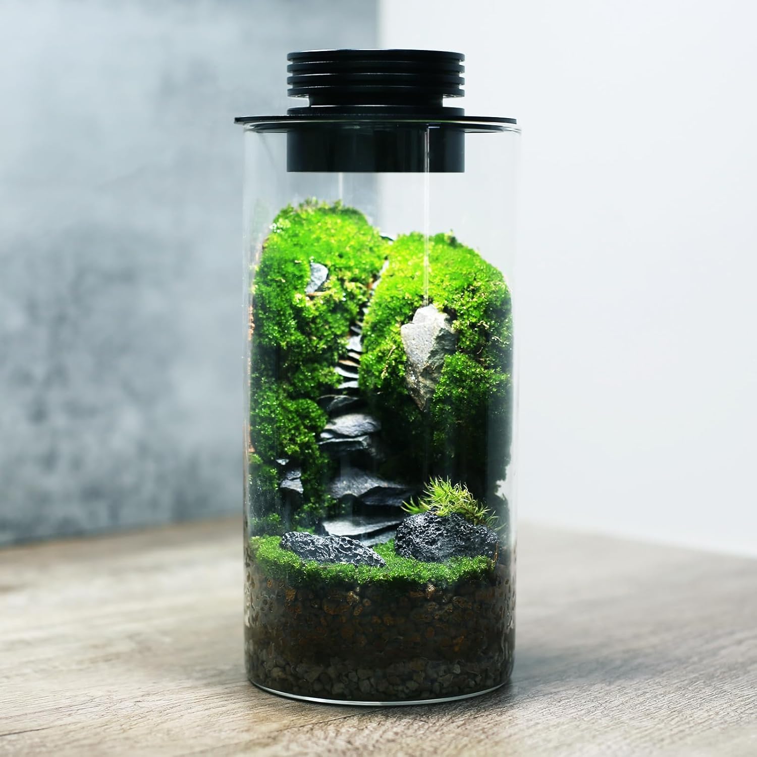 Light Terrarium