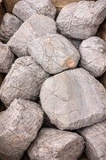 Elephant Skin Per lb.