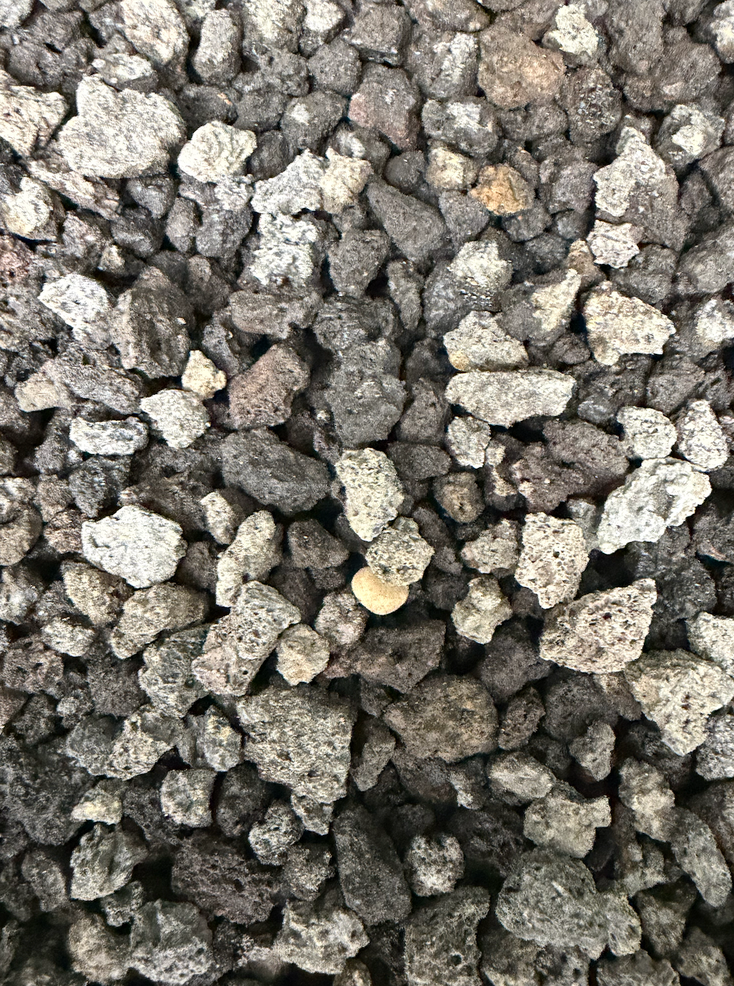 1/4" Lava Rock per lb.