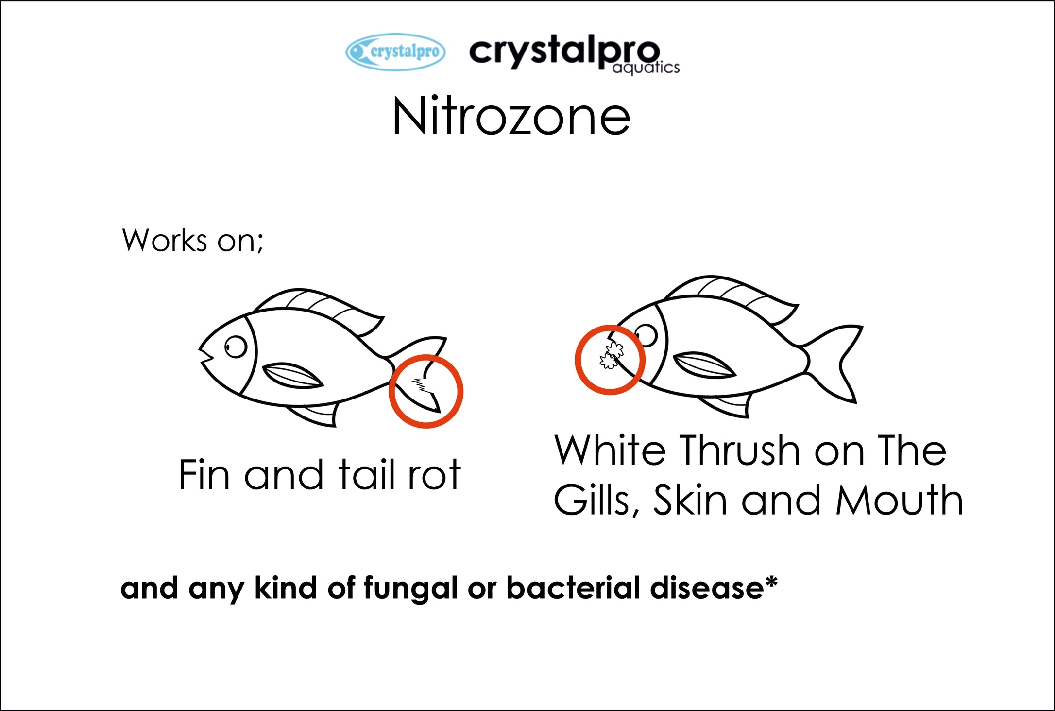 Nitrozone - Bacterial and Fungal Infection Remedy